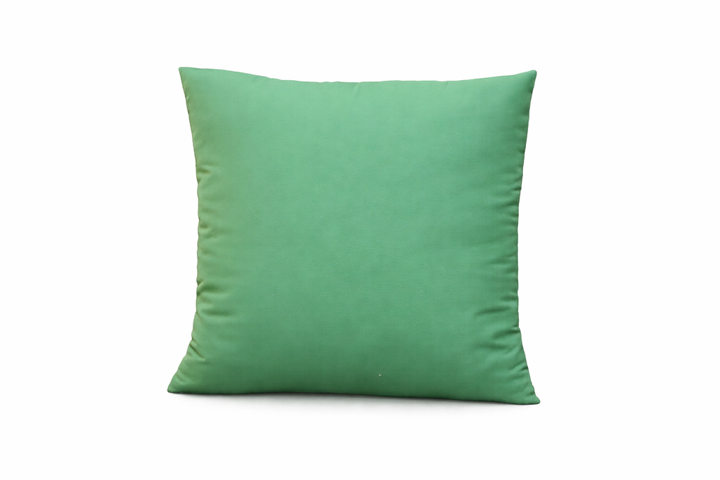 Light Green Decorative Cushion
