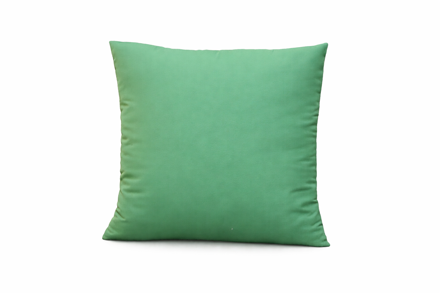 Light Green Decorative Cushion